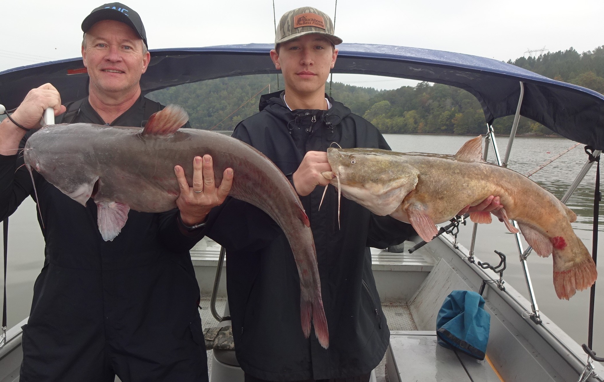 Two blue catfish, 24 inches long, caught in Chattanooga while fishing