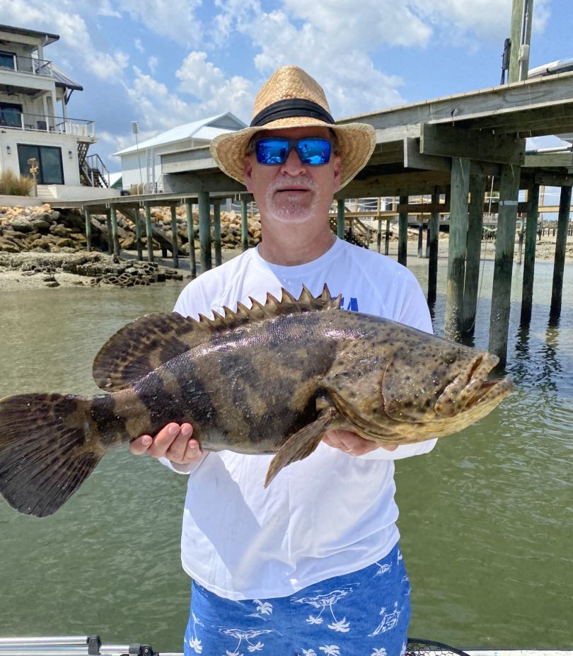Goliath grouper caught during fishing charter in St. Augustine FL