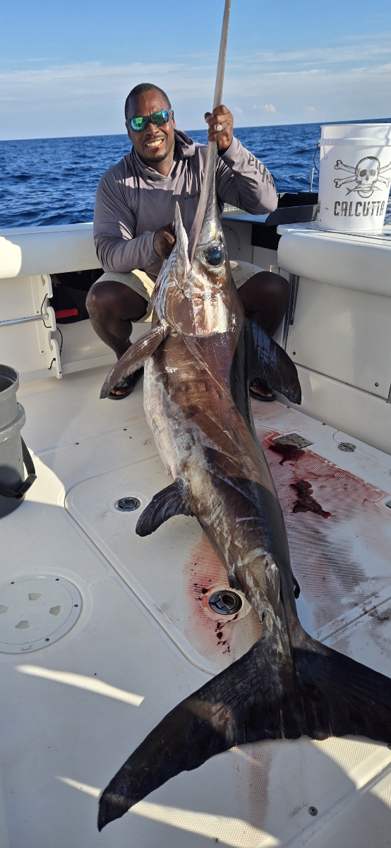 A blue marlin fish measuring 214 inches caught in FL