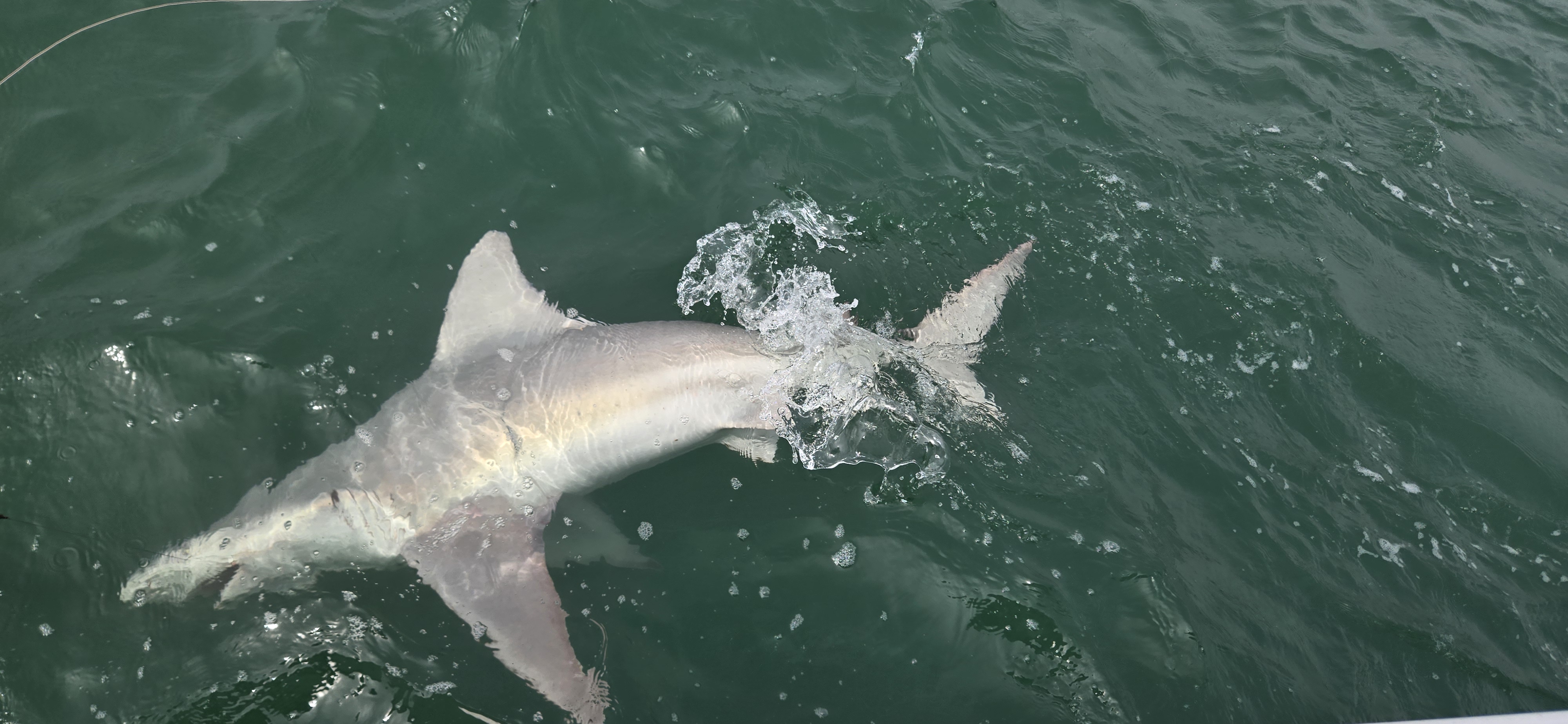Great fishing trip in FL