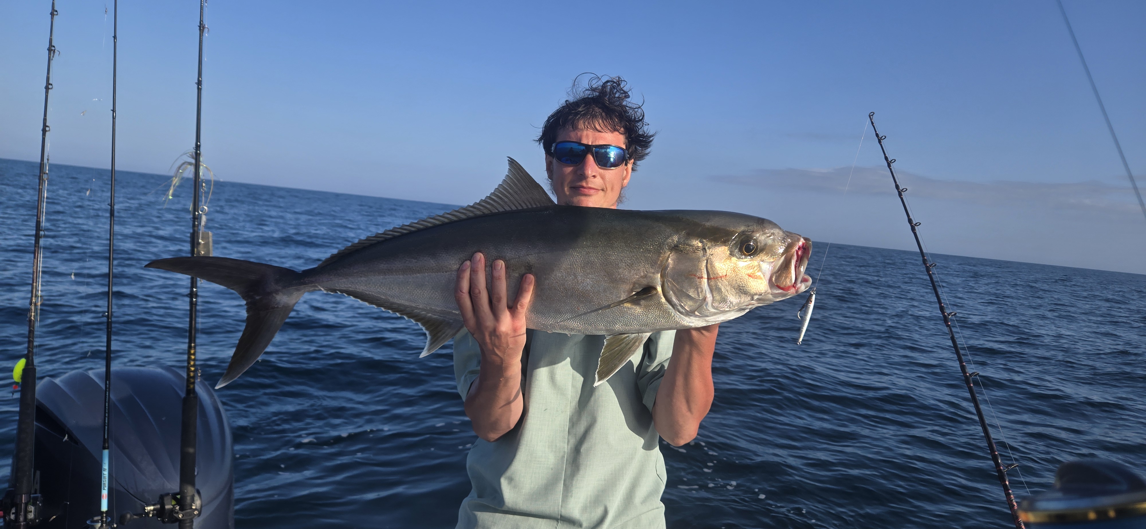 A photo of a greater amberjack, a 39-inch saltwater fish caught while fishing in Florida.