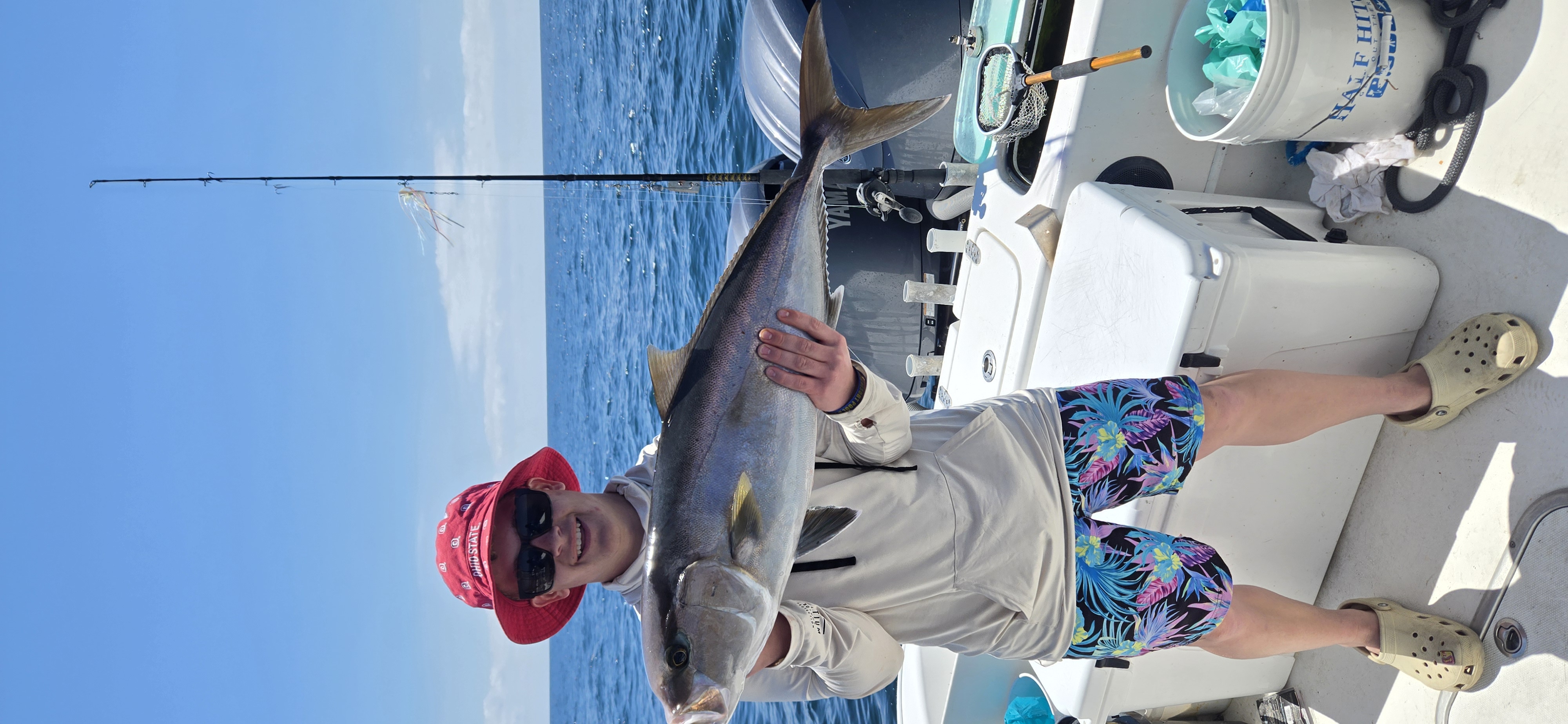 Longfin Yellowtail, a 28-inch fish caught fishing in FL