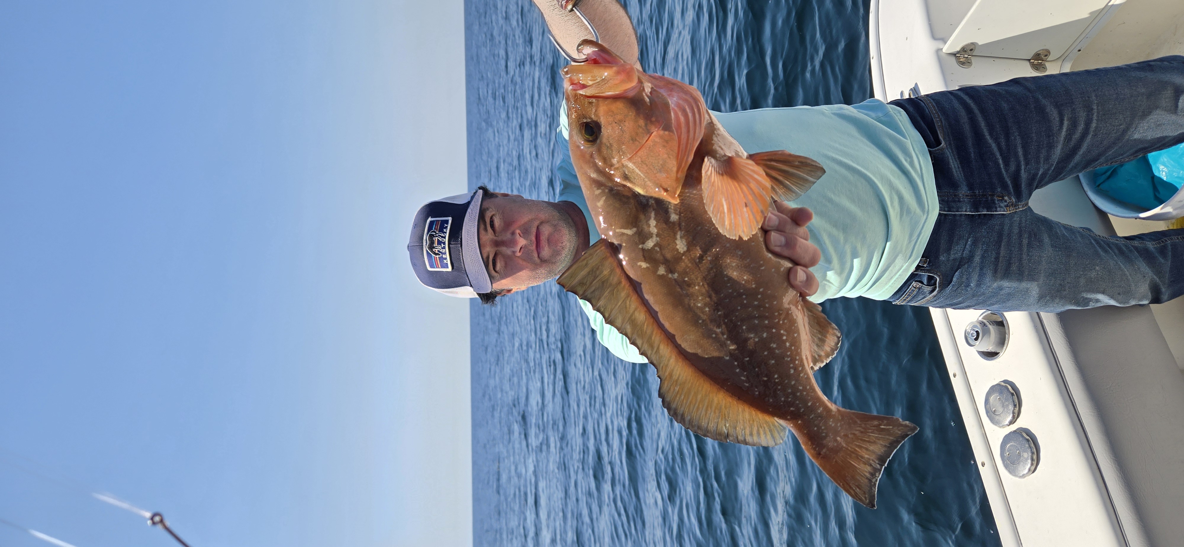 Majestic red grouper fish caught in FL