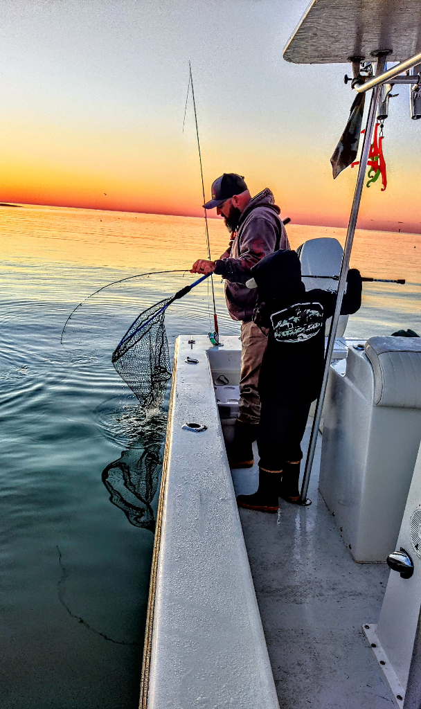 One fish spotted in MD while fishing