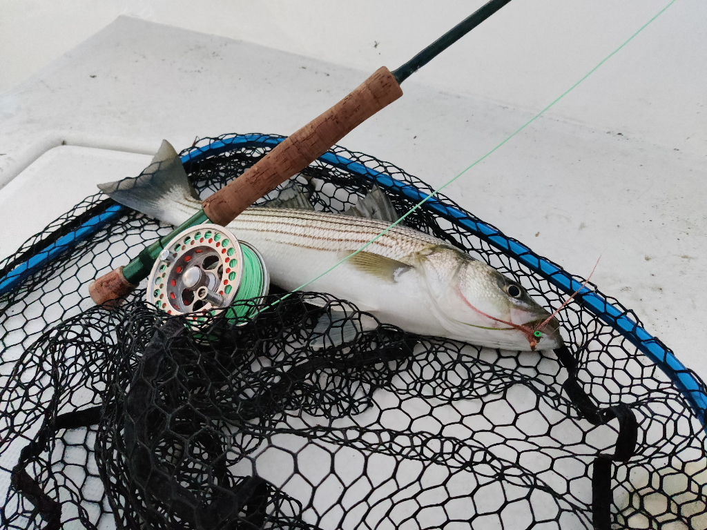 One fishing trip in MD