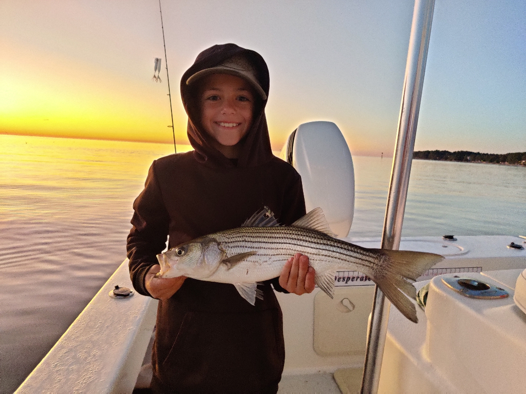 Striped bass caught while fishing in MD