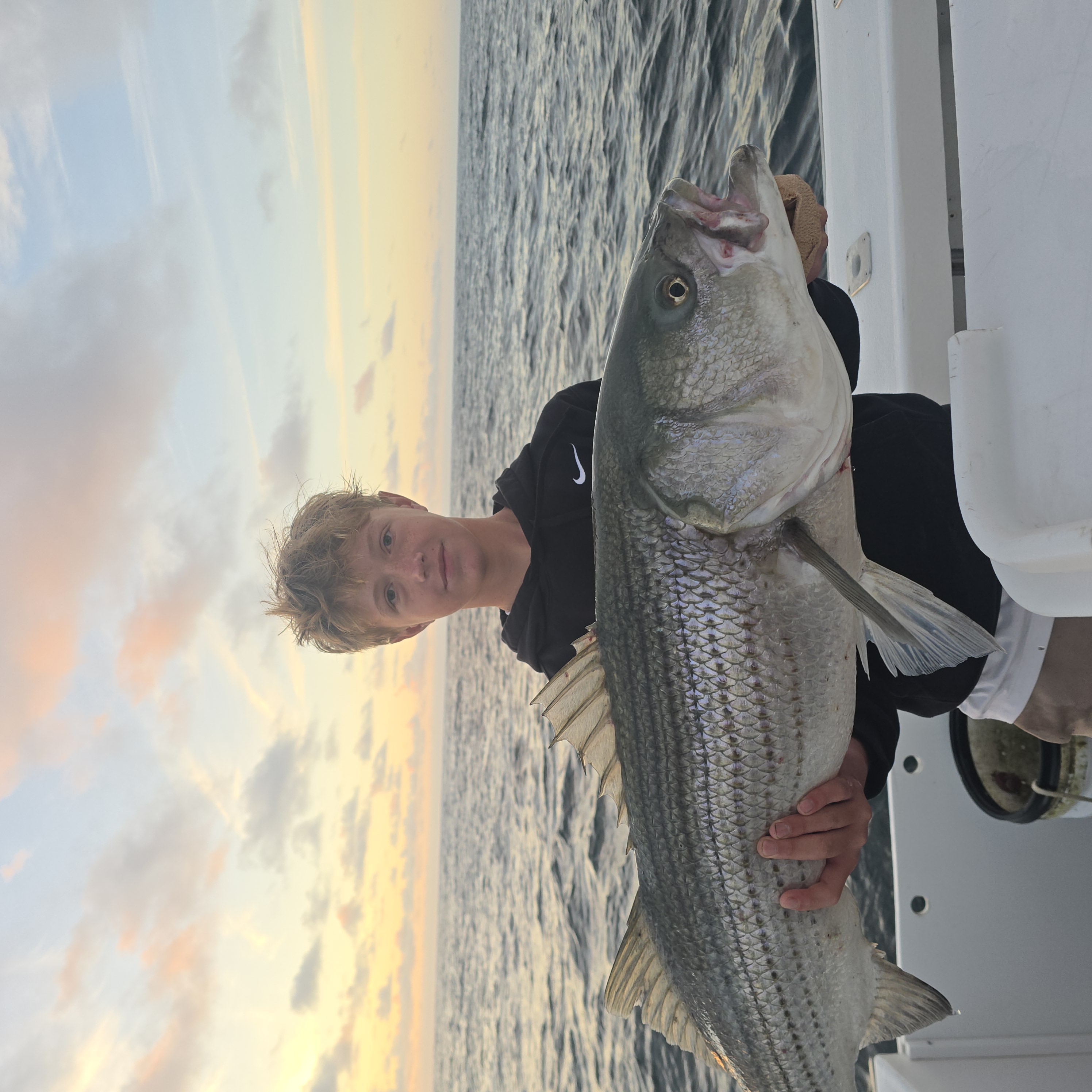 Striped bass catch on fishing boat in Narragansett RI waters