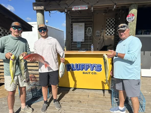 Fishing catch display at Gulf Shores AL bait shop with multiple fish species