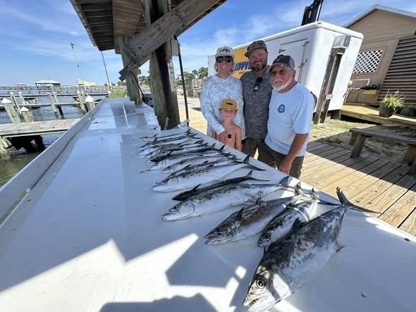 Fresh caught Pacific Sierra and mixed fish species displayed on fishing boat dock in Gulf Shores AL