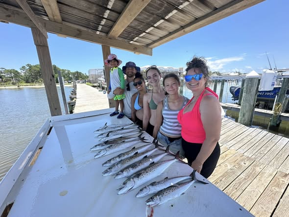 Fresh caught Spanish Mackerel displayed on cleaning table at Gulf Shores AL fishing dock