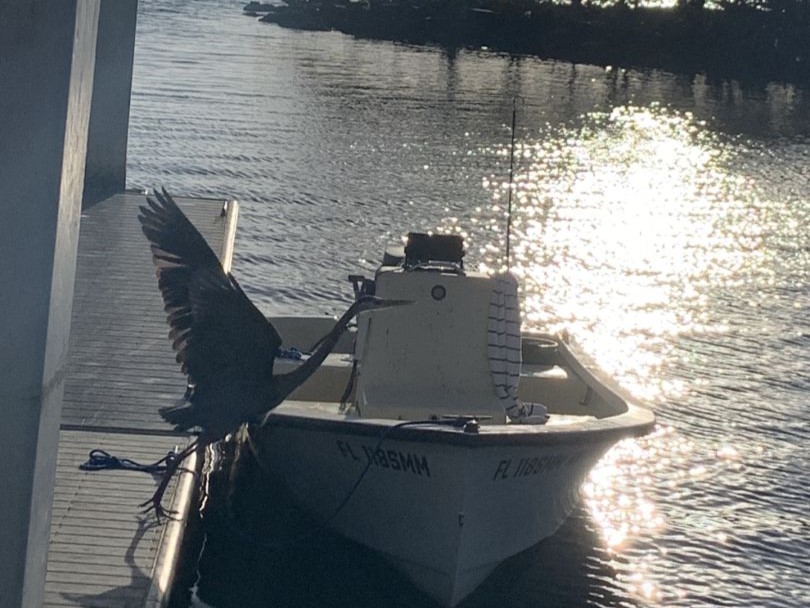 Boynton Beach fishing and hunting adventure