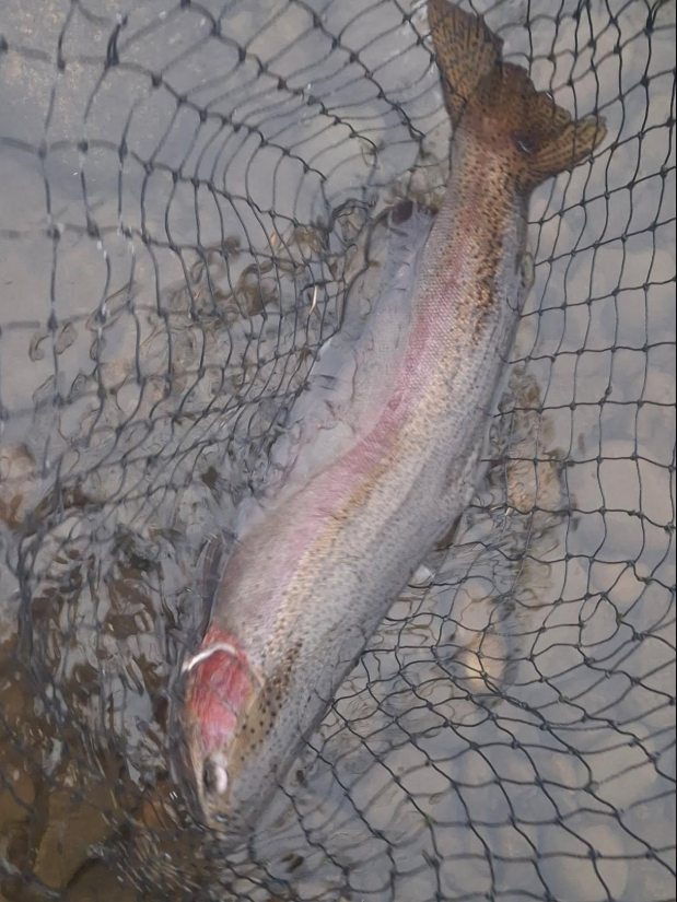A beautiful fishing scene in Oswego