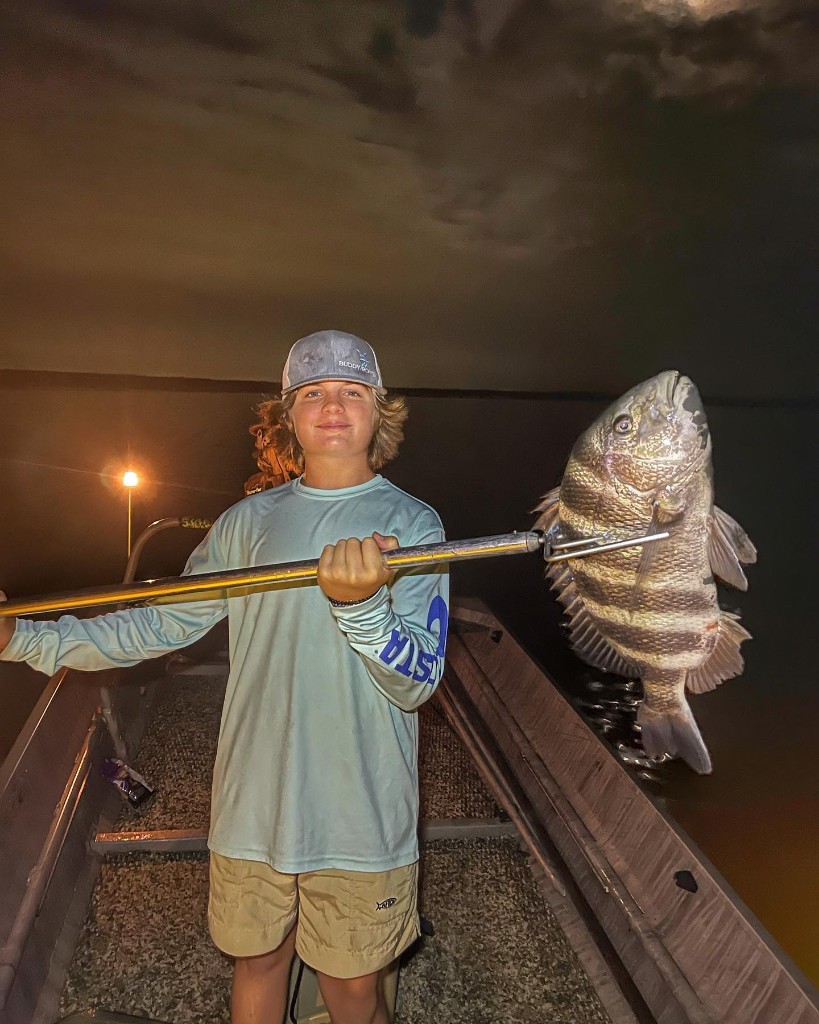 Sheepshead fish caught at Fernandina Beach