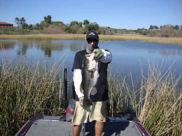 A largemouth bass caught in Oakley