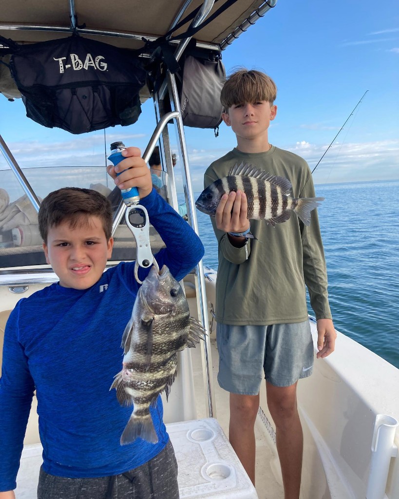 Two sheepshead fish caught in St. Petersburg