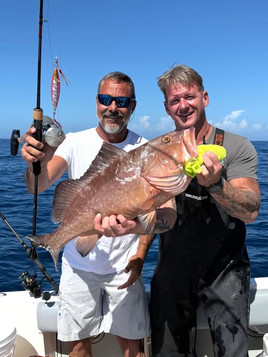 Red grouper caught during fishing charter in Matlacha FL