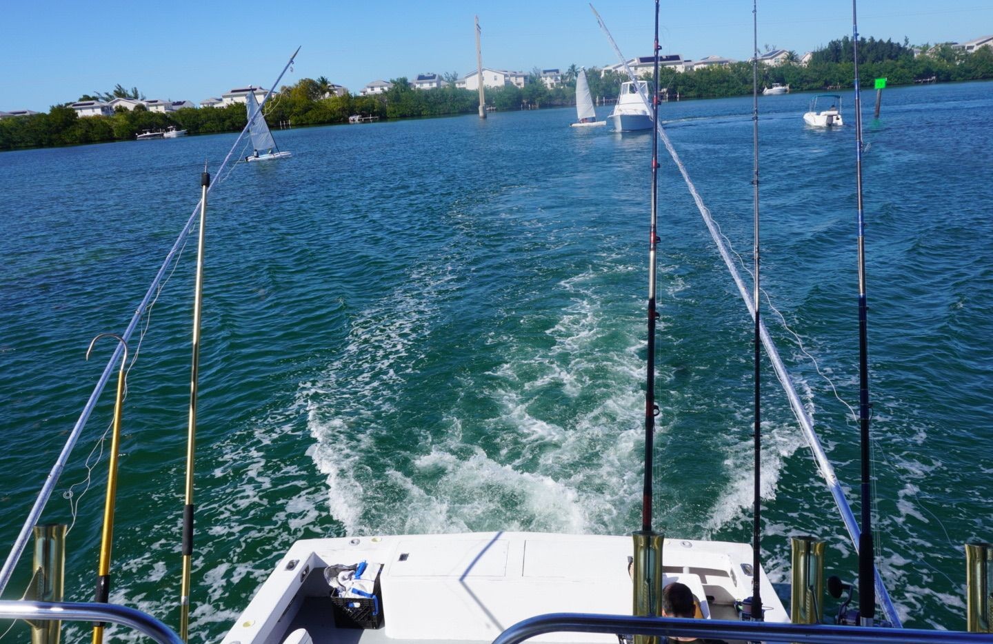 Scenic view of Key West, Florida with palm trees and boats