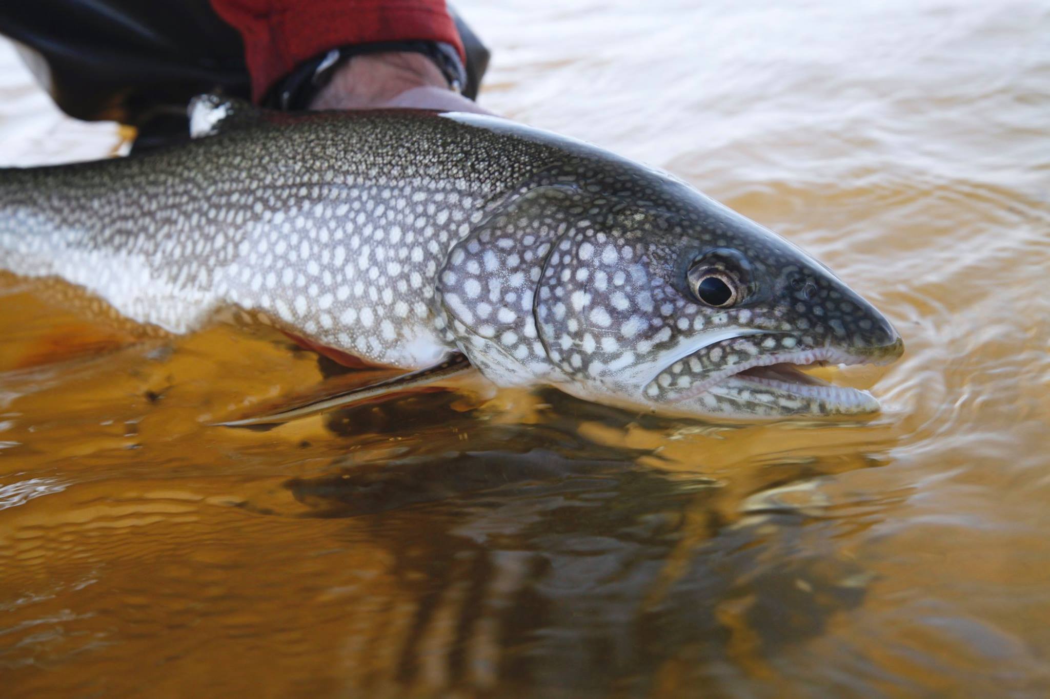 Fishing in the stunning Yukon landscape
