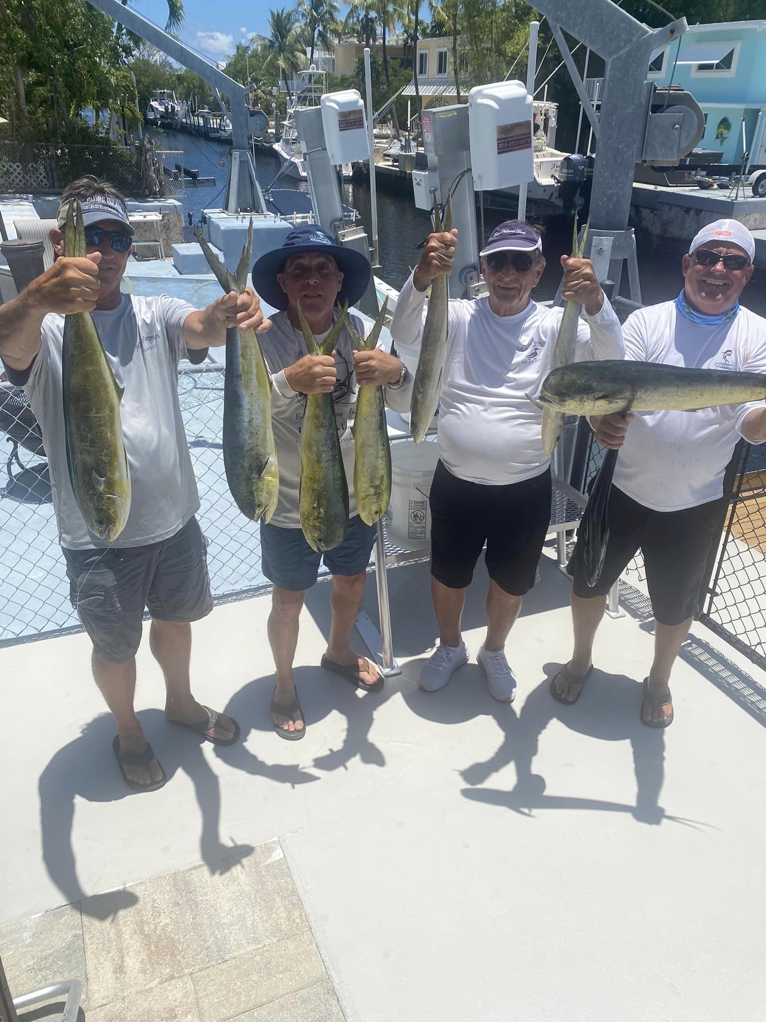 3 Wels catfish, 17 inches, fishing in Key Largo