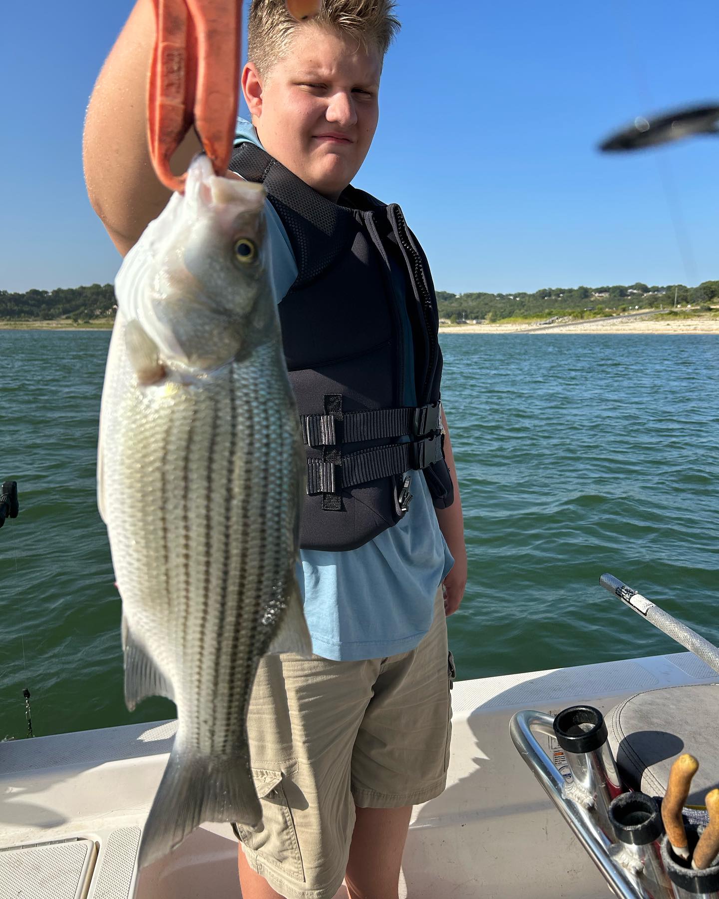 A striped bass, a 26-inch fish, caught while fishing in Belton