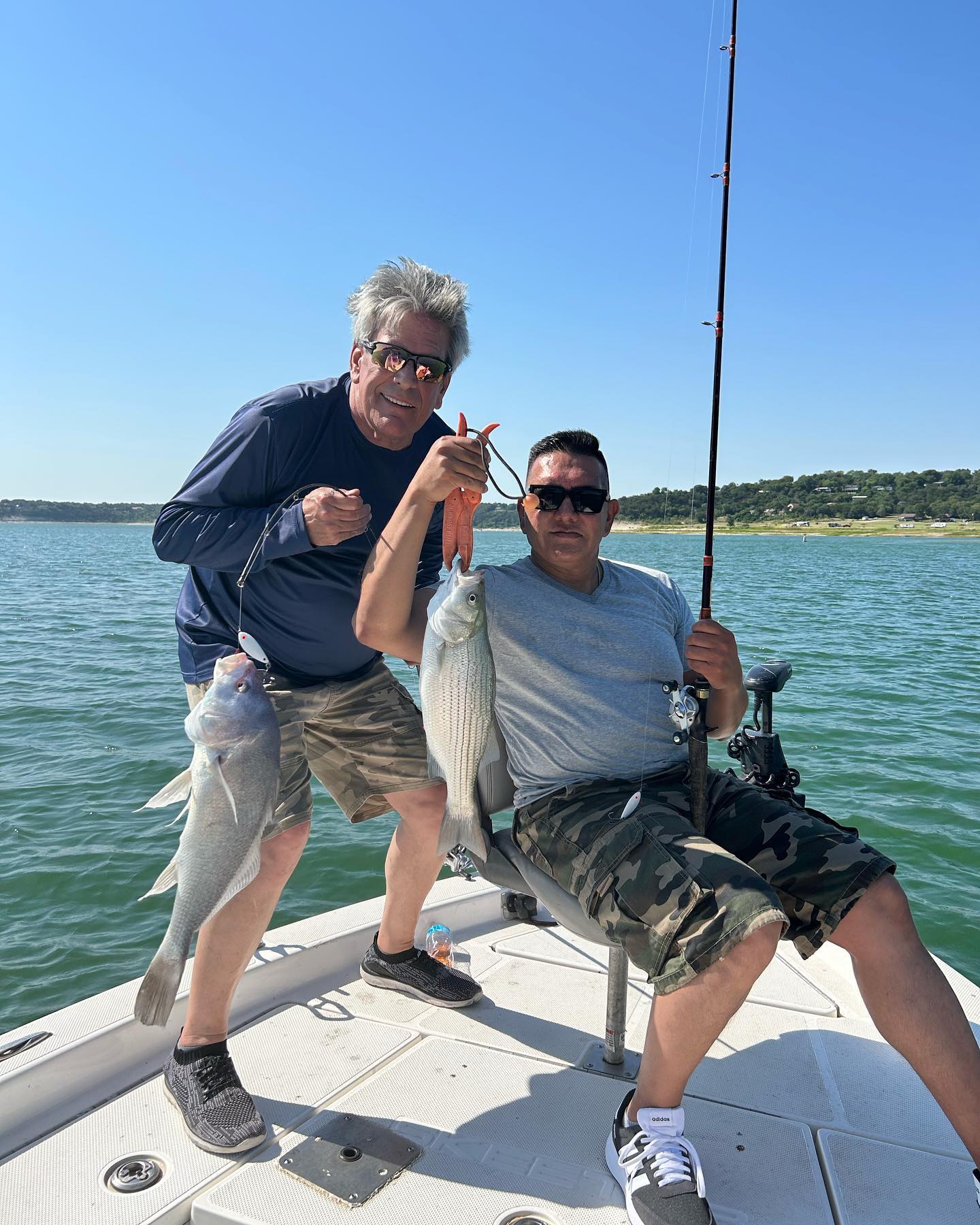 Two White Bass fish caught in Belton