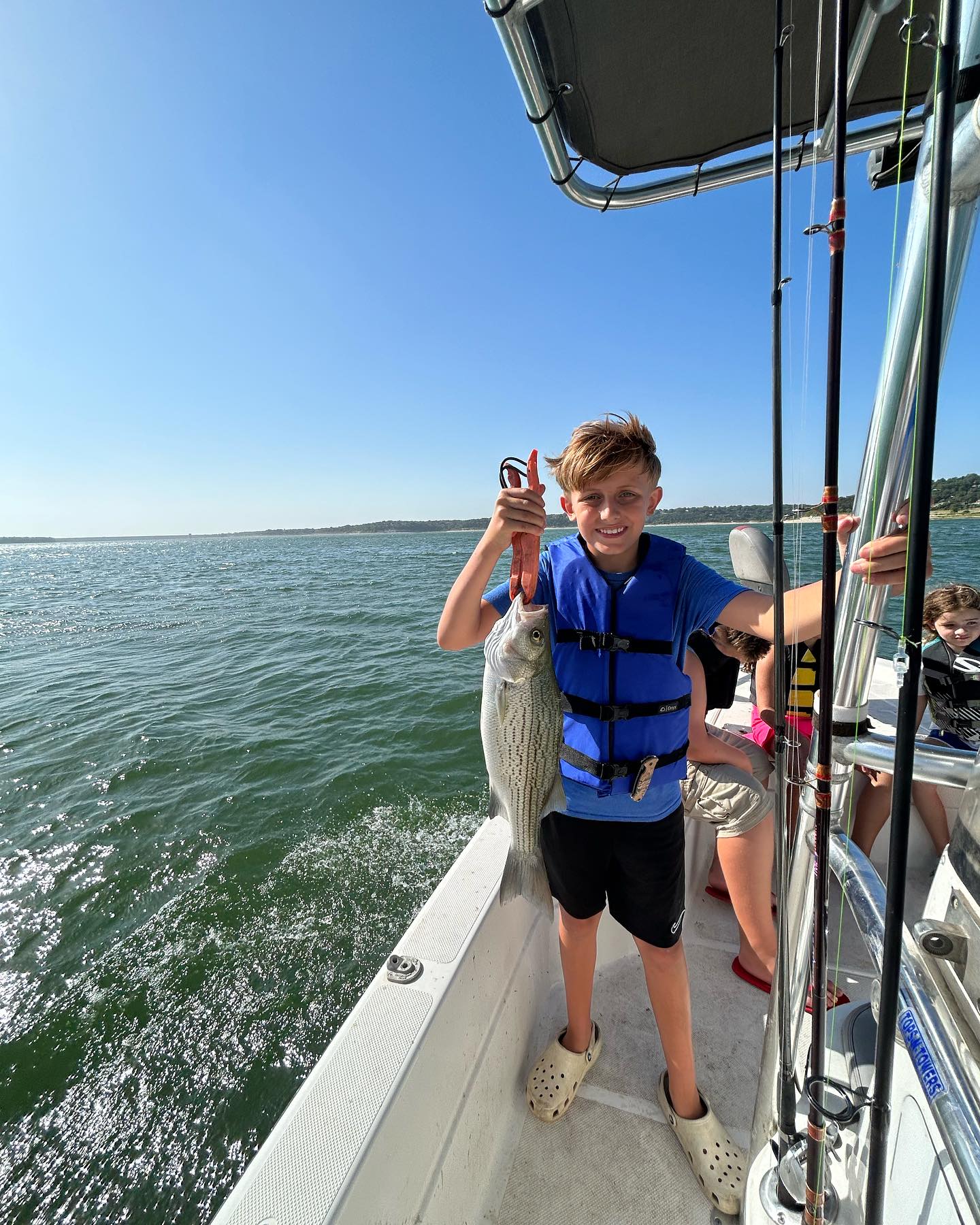 Wiper (hybrid striped bass) fish caught in TX