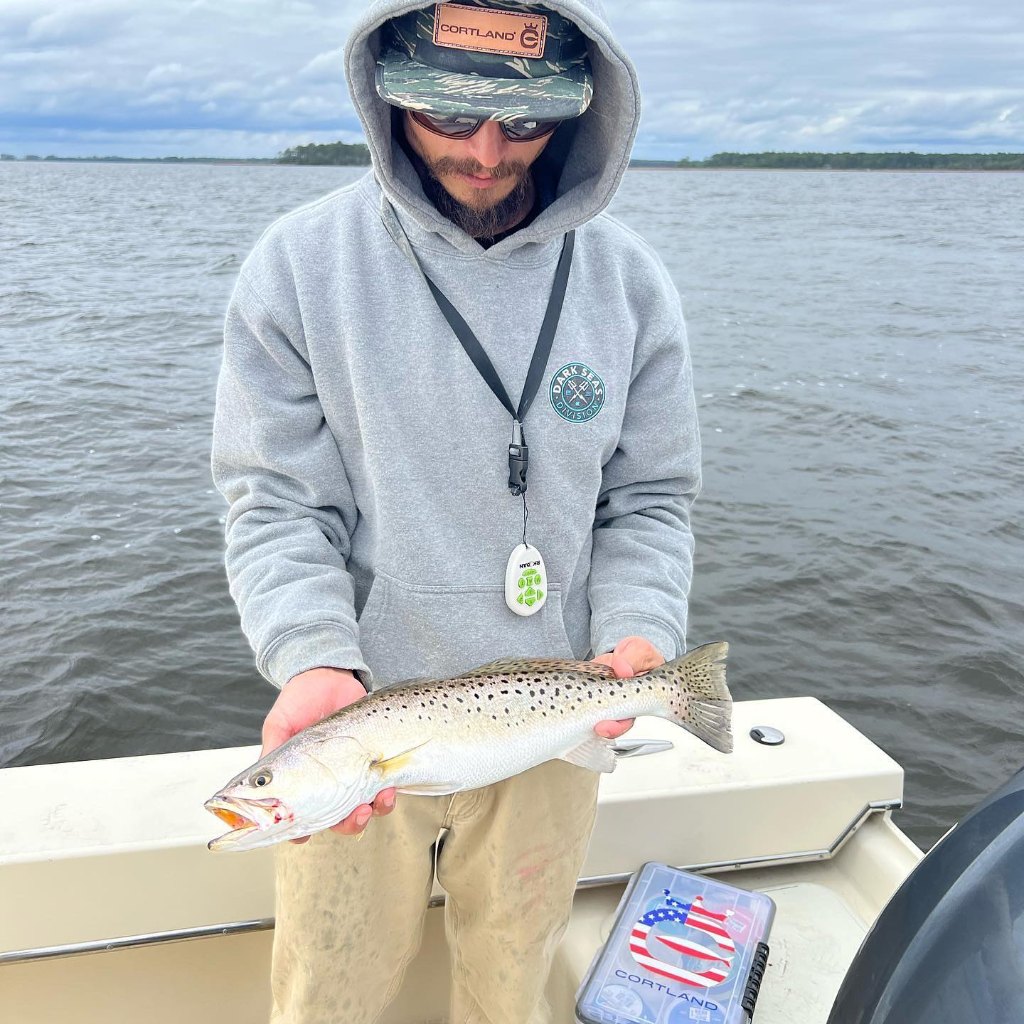 Spotted weakfish caught in Morehead City