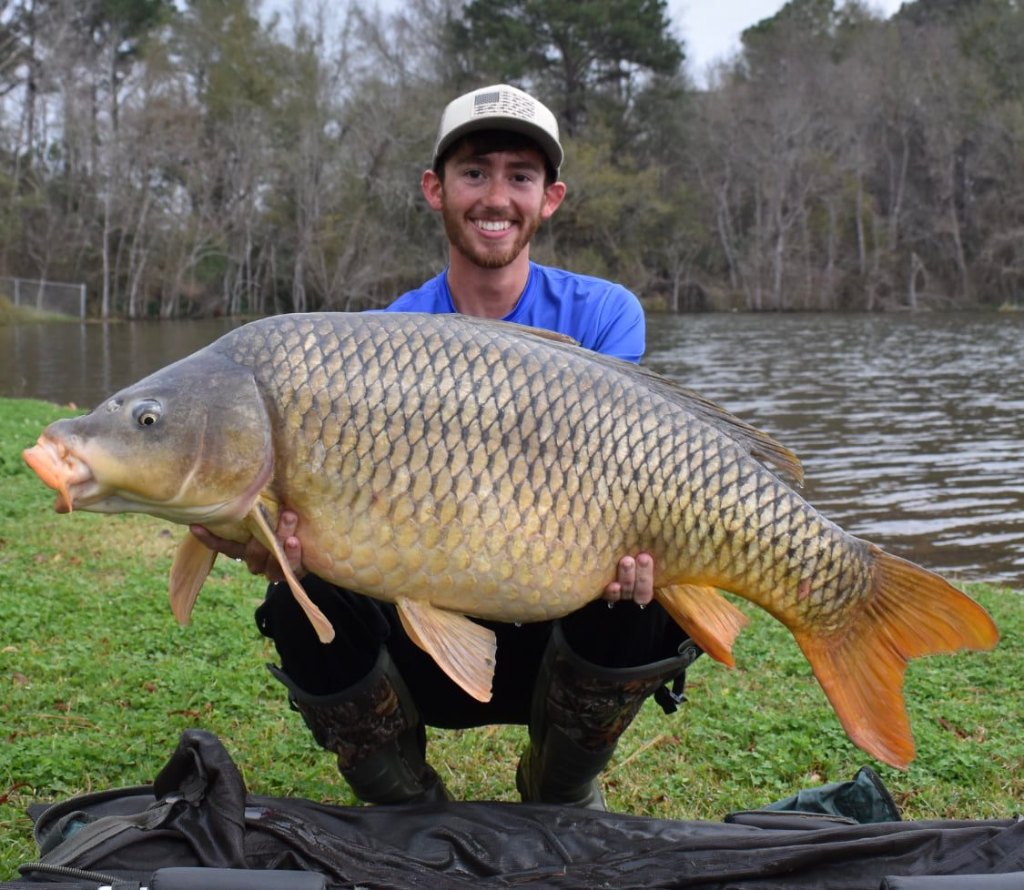 A common carp measuring 42 inches, caught while fishing in TX.