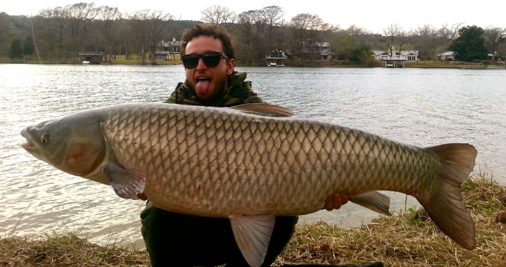 Grass Carp fish caught in TX