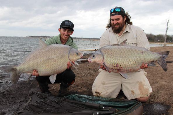 Two Smallmouth Buffalo fish caught in TX while fishing