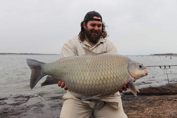 A smallmouth buffalo fish caught in TX