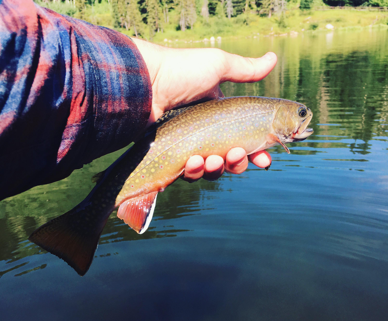 One fishing at Provo