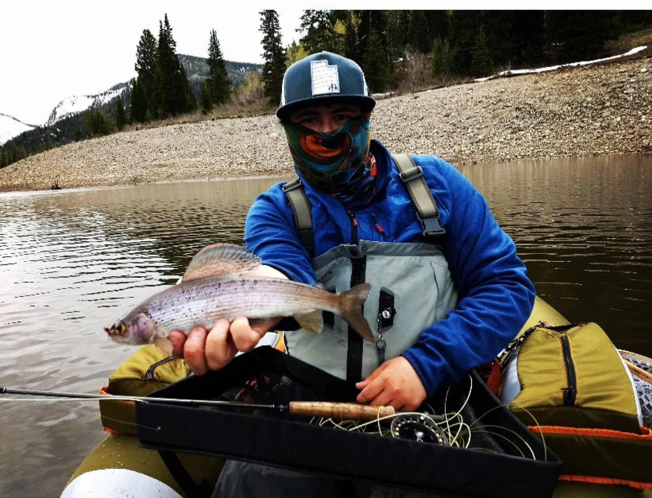 Angler catching a 16-inch Arctic Grayling in Provo