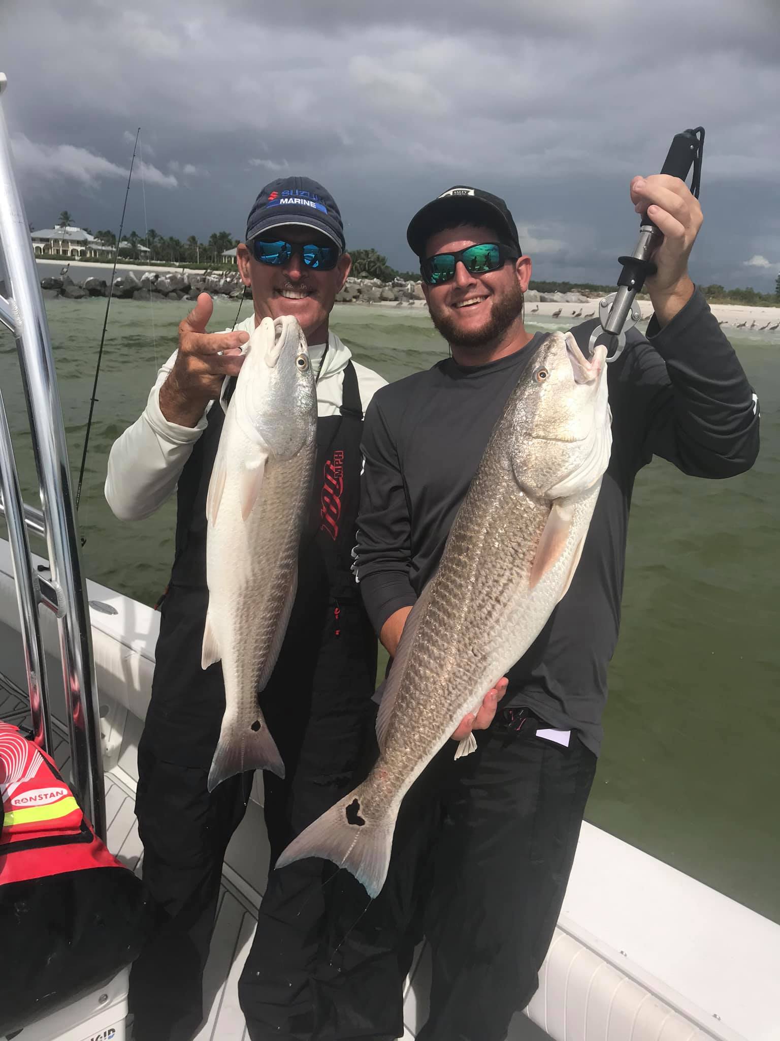 Two redfish, 26 inches each, caught in Naples, Florida while fishing.