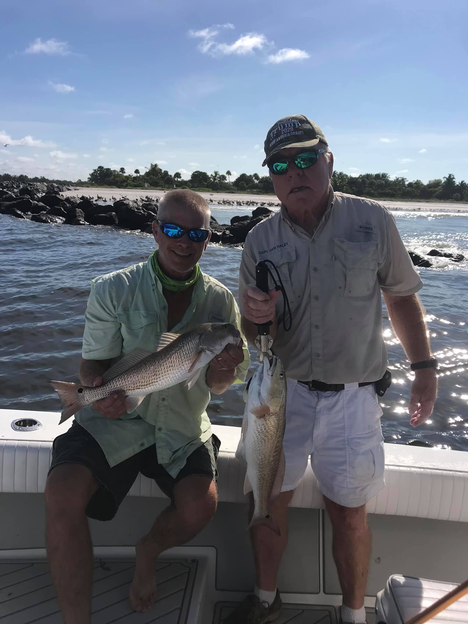 Two redfish in Naples, Florida