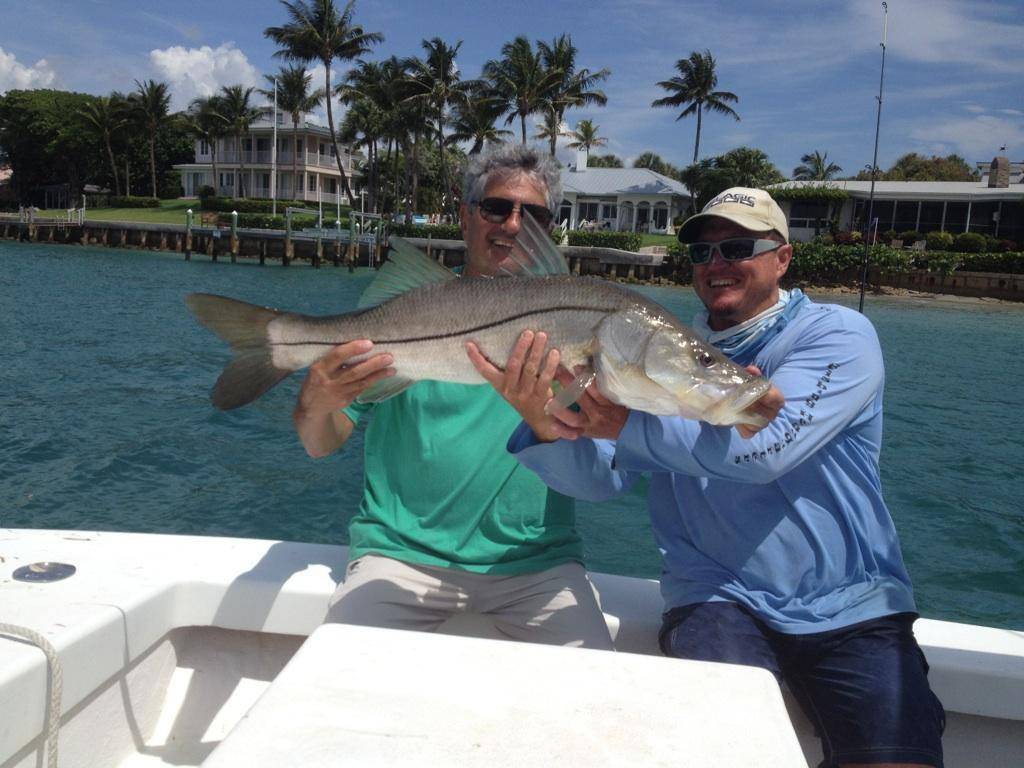 Snook fish caught in Jupiter
