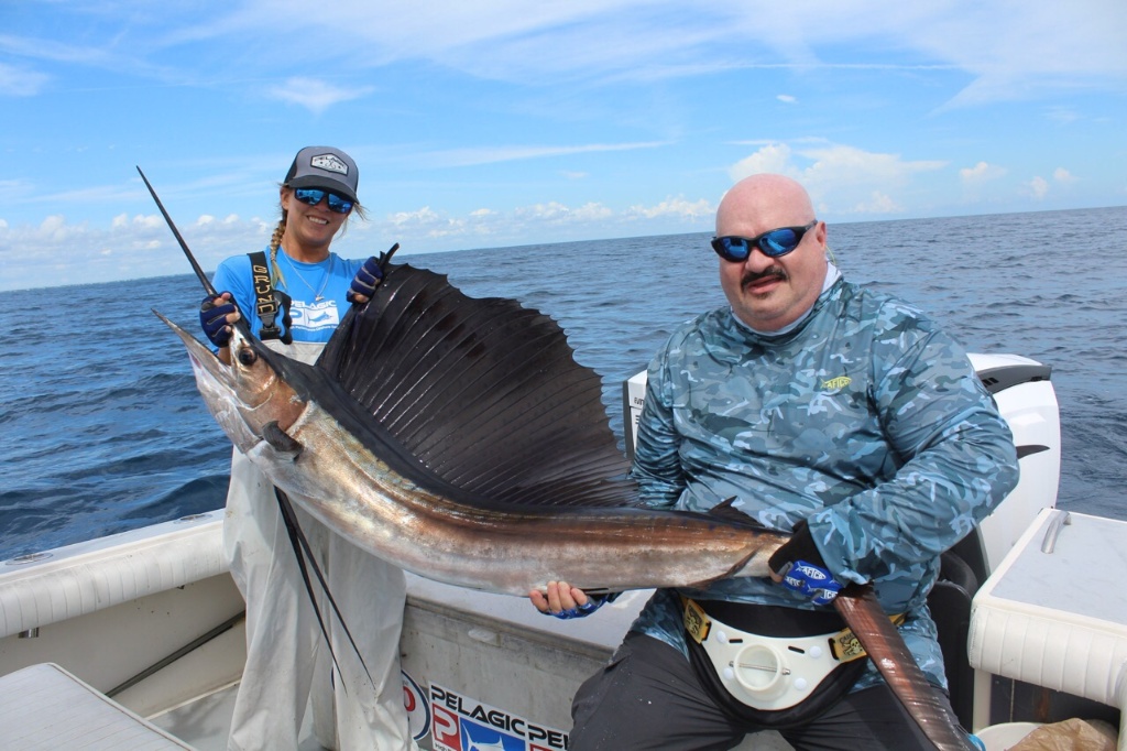 Magnificent Atlantic Sailfish caught in FL
