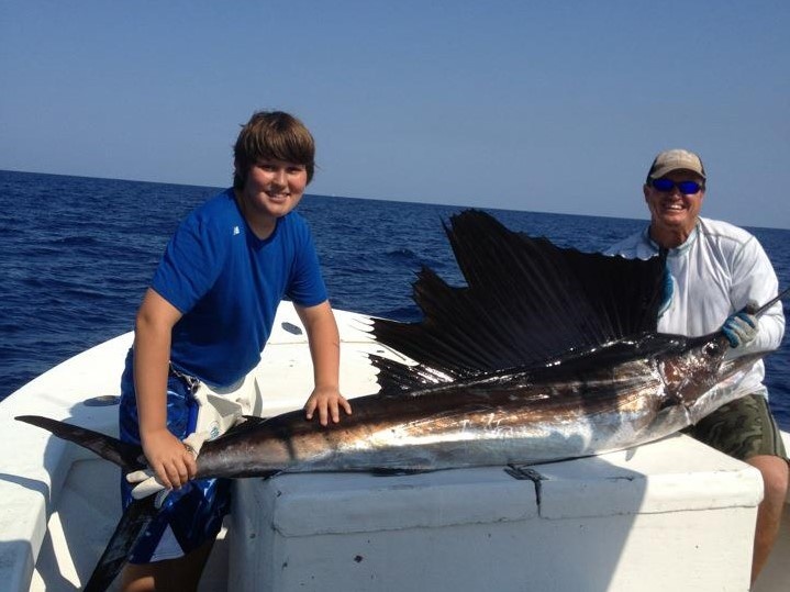 A single Atlantic Sailfish caught in FL