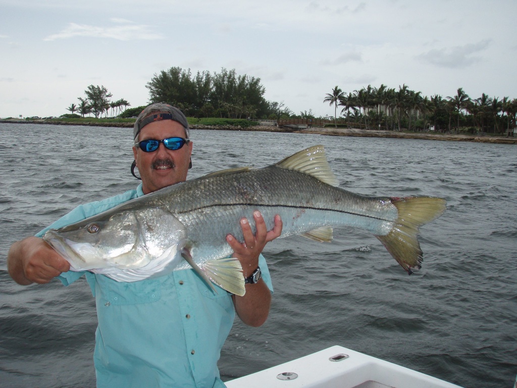 Snook fish caught in FL