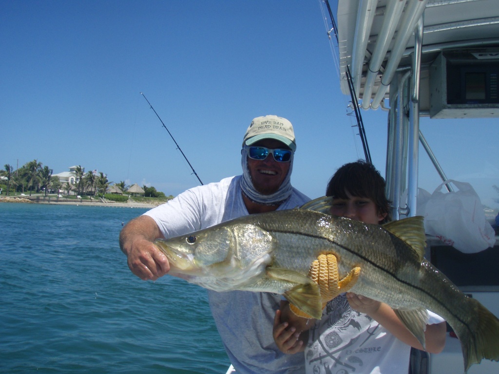 Snook fish caught in Jupiter