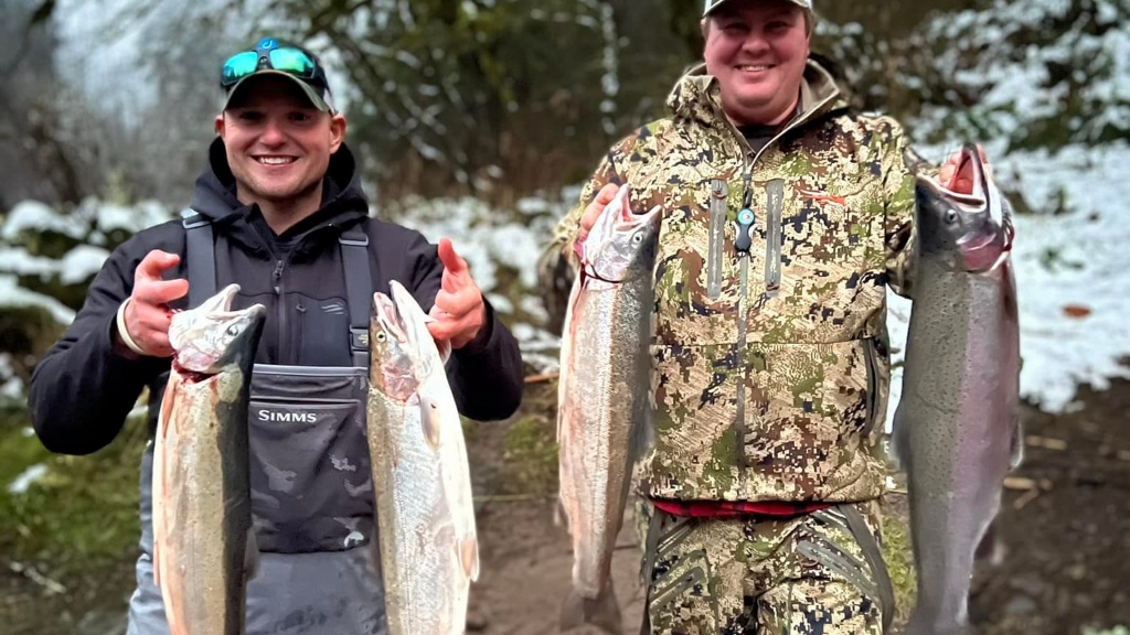 4 rainbow trout caught in OR