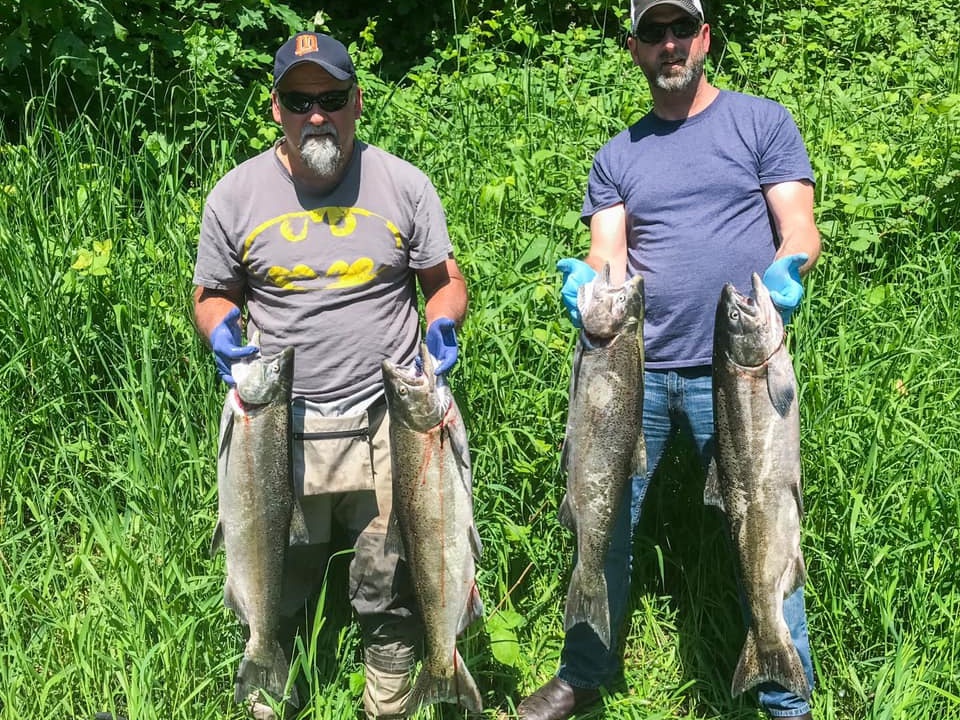 Chinook salmon and lake trout caught in OR