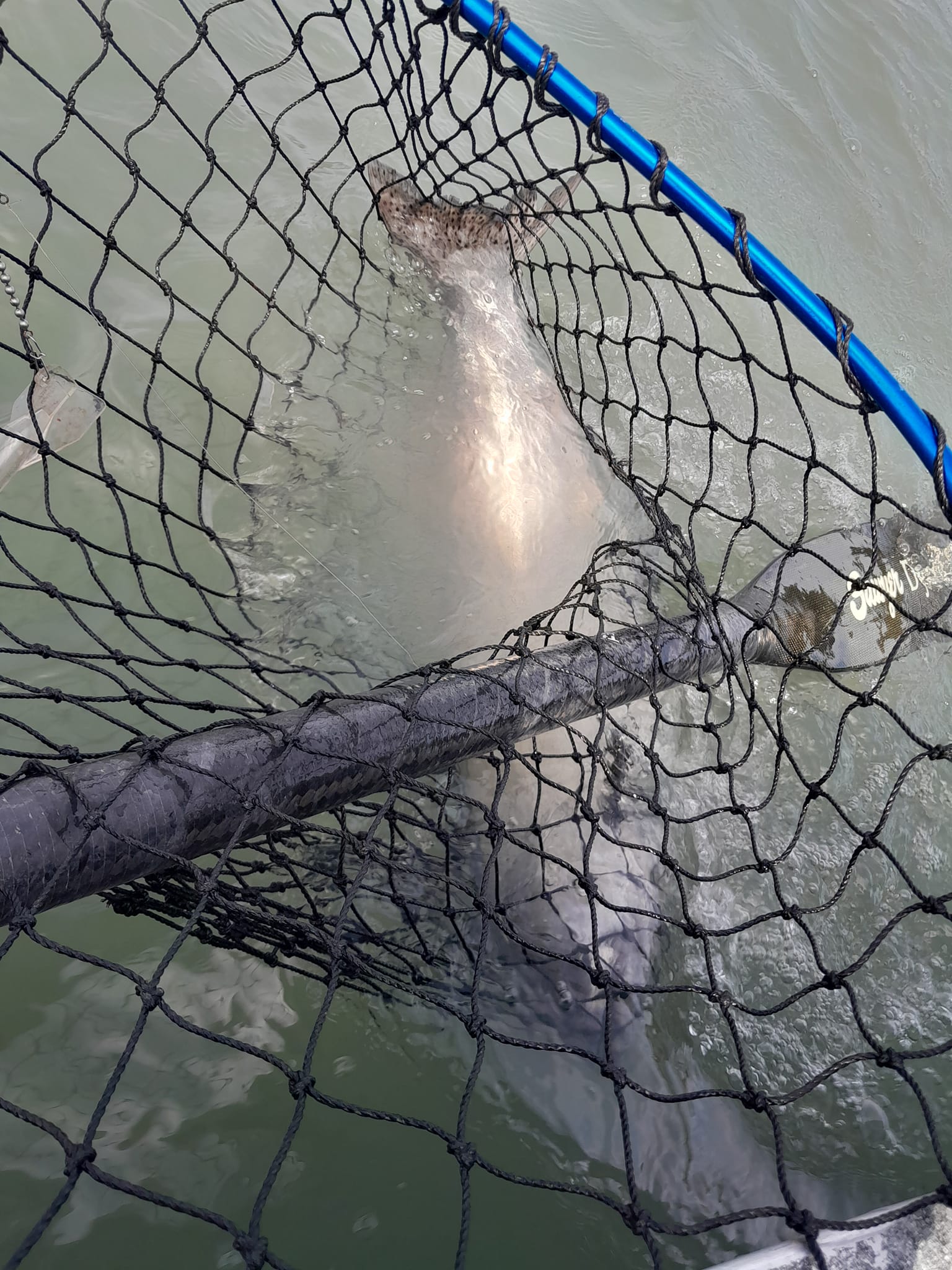 Fishing in AK