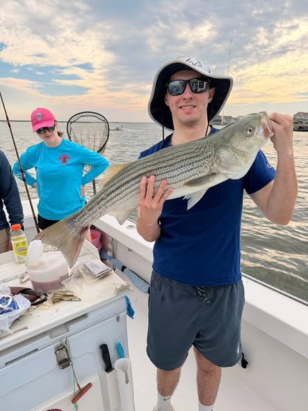 Striped bass catch from fishing trip in Brigantine NJ
