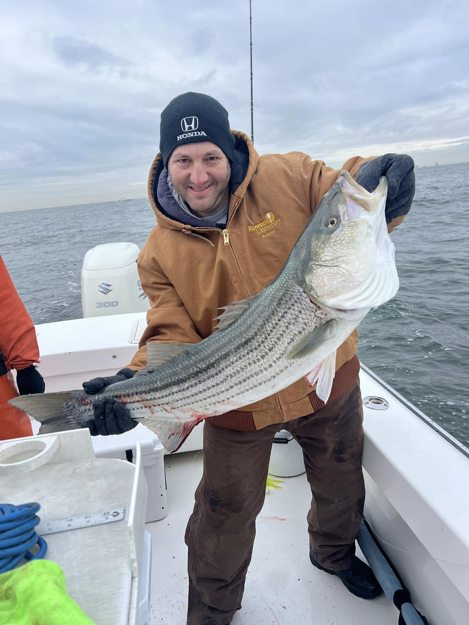 Striped bass catch on fishing boat in Brigantine NJ waters