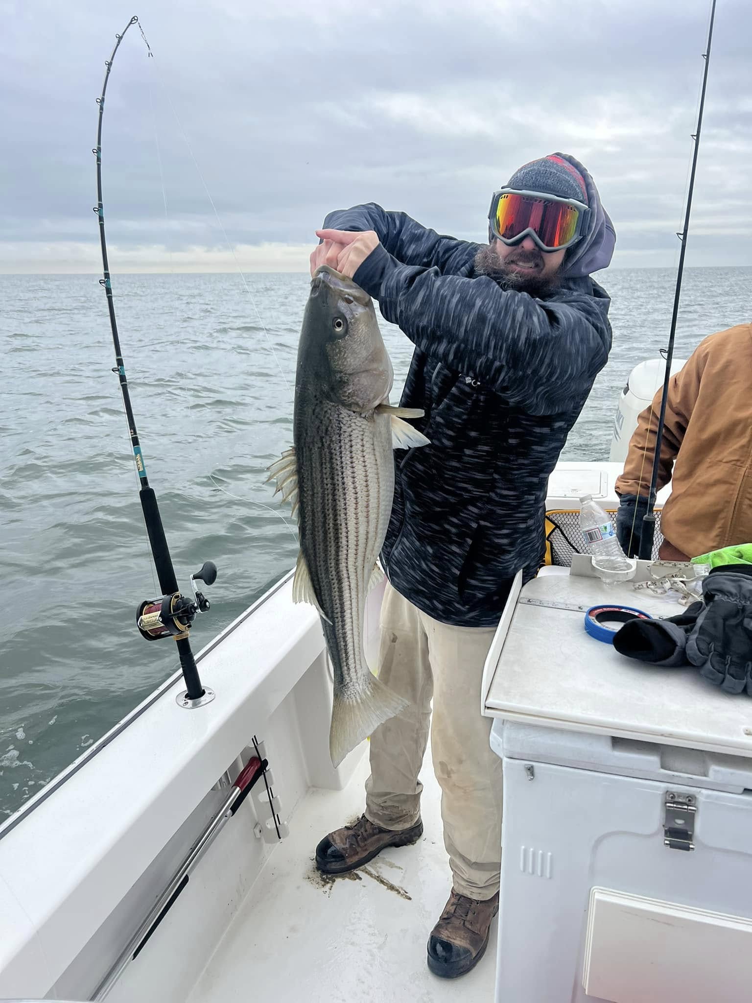 Striped bass catch on fishing boat in Brigantine NJ waters