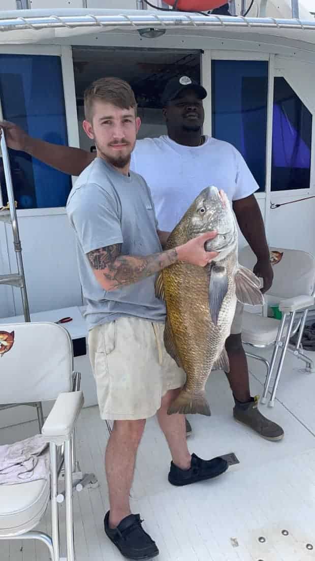 Angler with a large black drum fish on a boat in MS