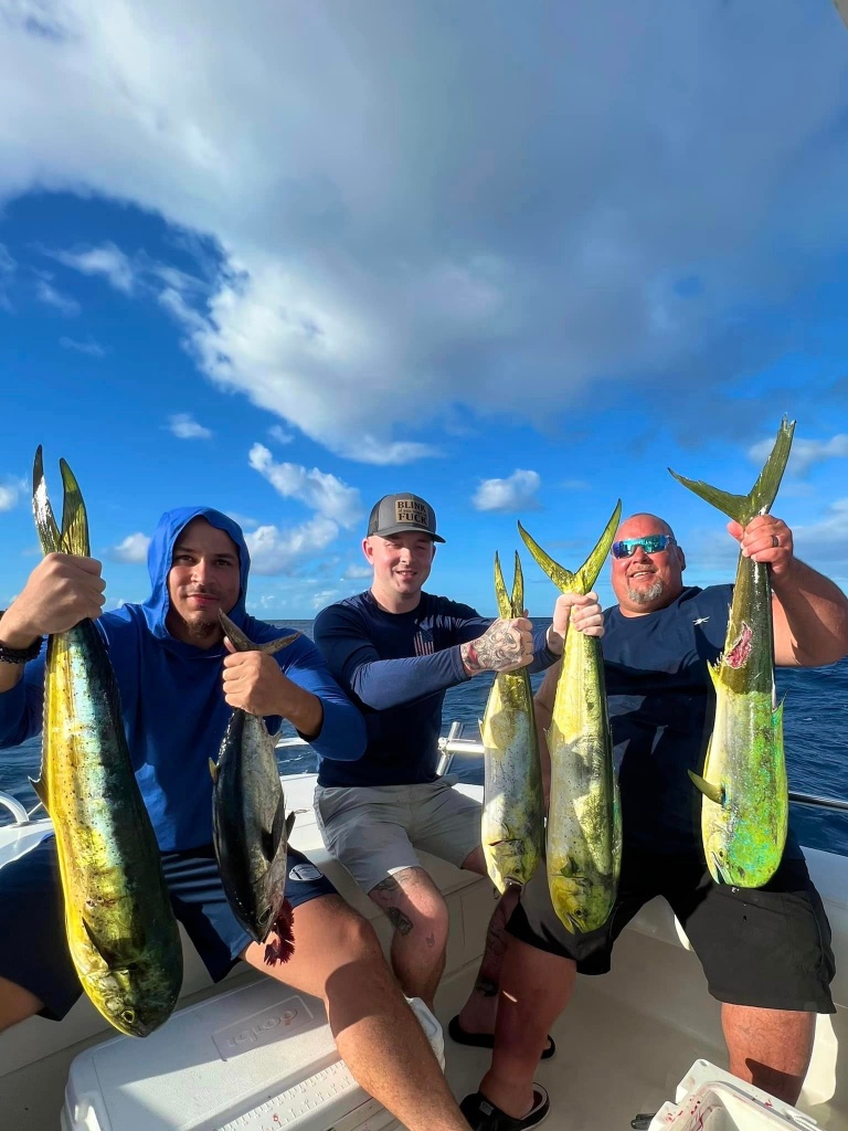 4 king mackerel, large fish caught while fishing in Tavernier