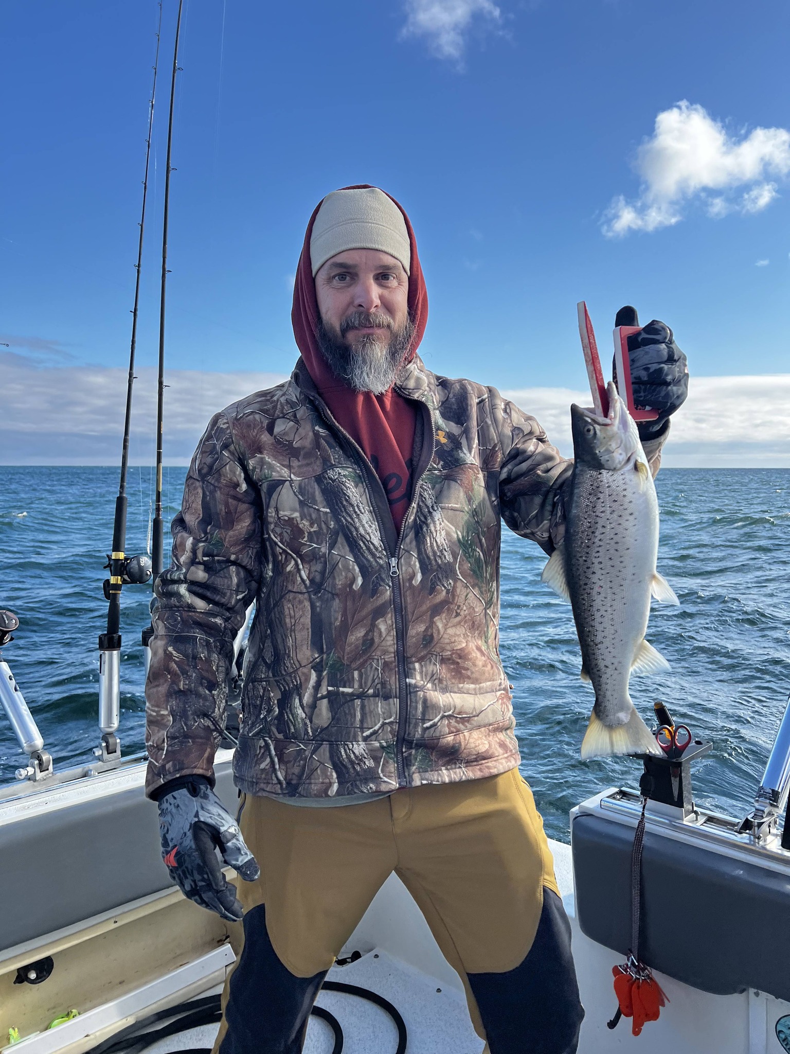Atlantic salmon caught while fishing at Sodus Point NY on fishing boat