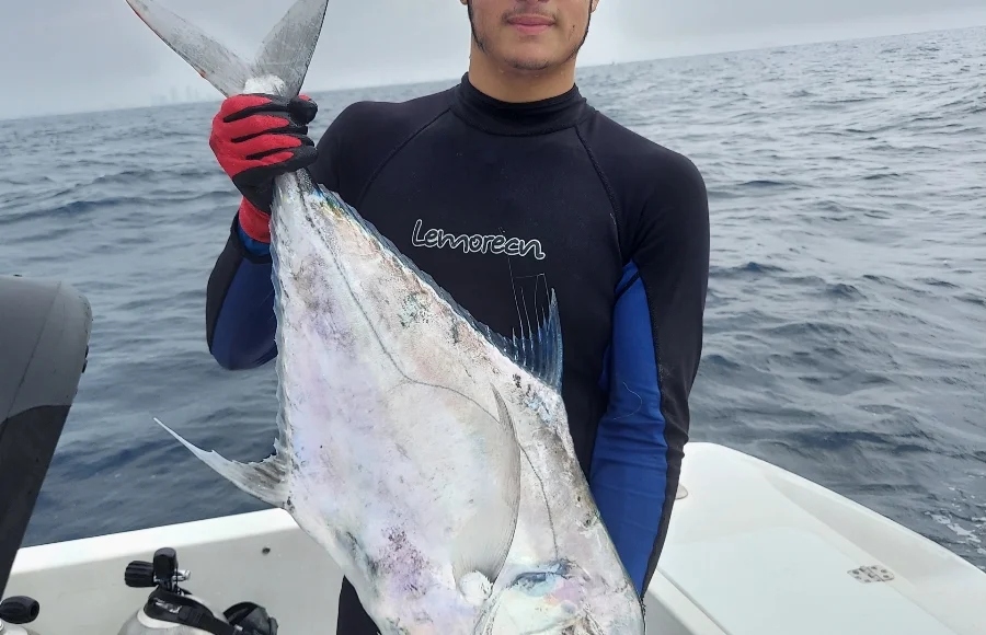 Photograph of an African Pompano fish, measuring 18 inches, caught in Coral Gables, Florida.